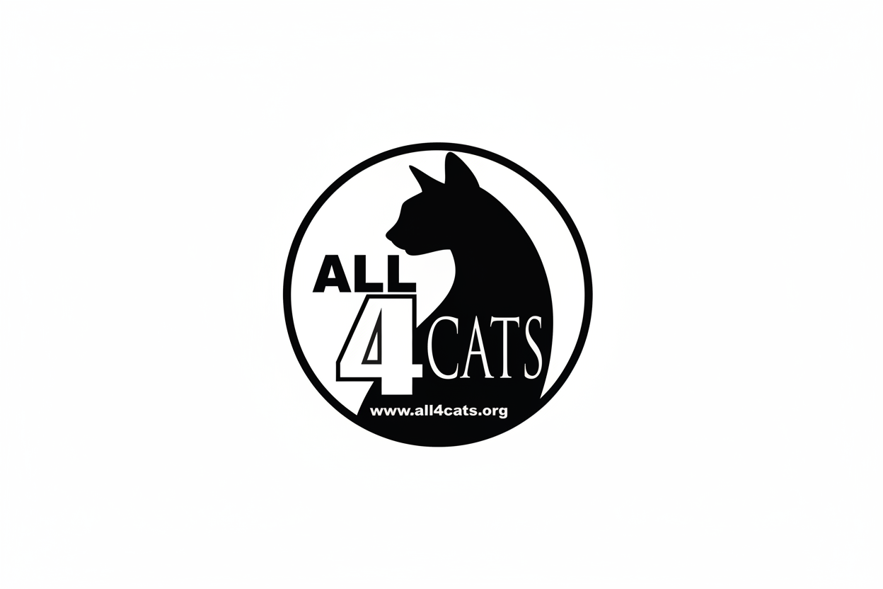 All 4 Cats Hero Banner